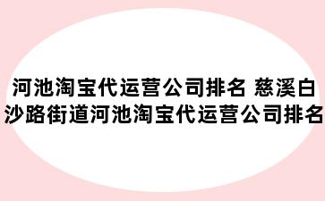 河池淘宝代运营公司排名 慈溪白沙路街道河池淘宝代运营公司排名前十